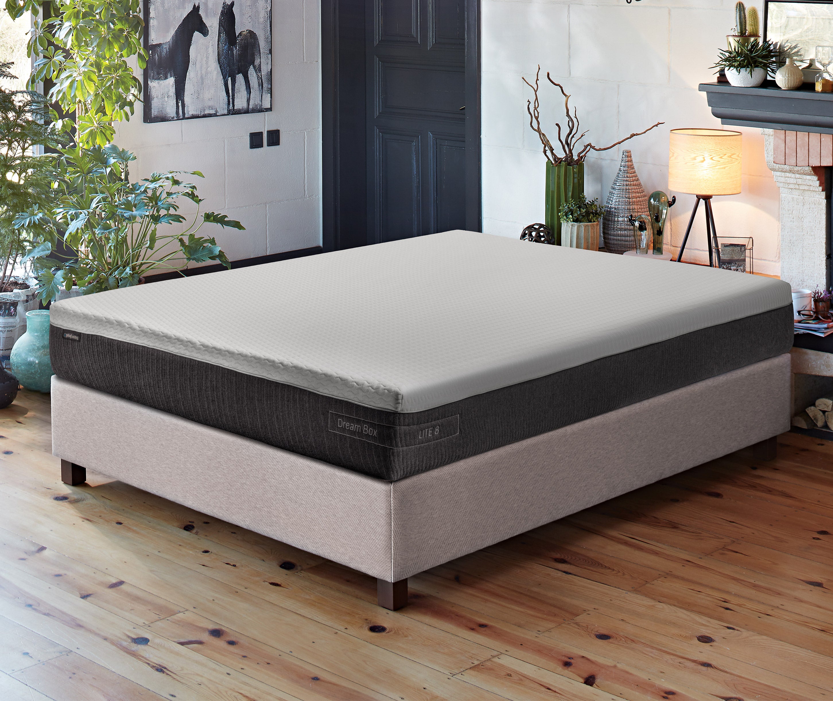 Dream Box Lite Roll Pack Pocket Spring Mattress 8"